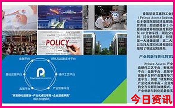 2025年生肖图